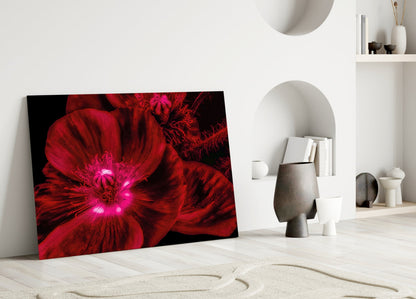 Crimson Poppy Macro Glass Wall Art