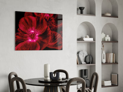 Crimson Poppy Macro Glass Wall Art