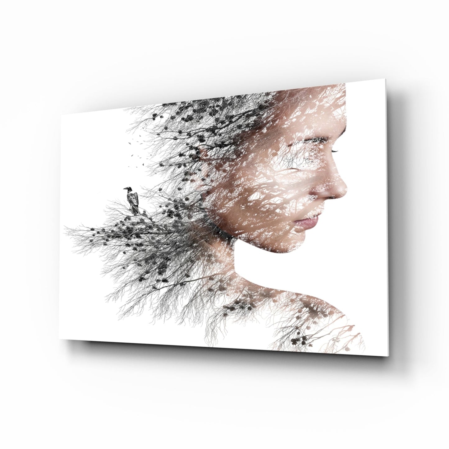 Woman Bird Double Exposure Glass Wall Art