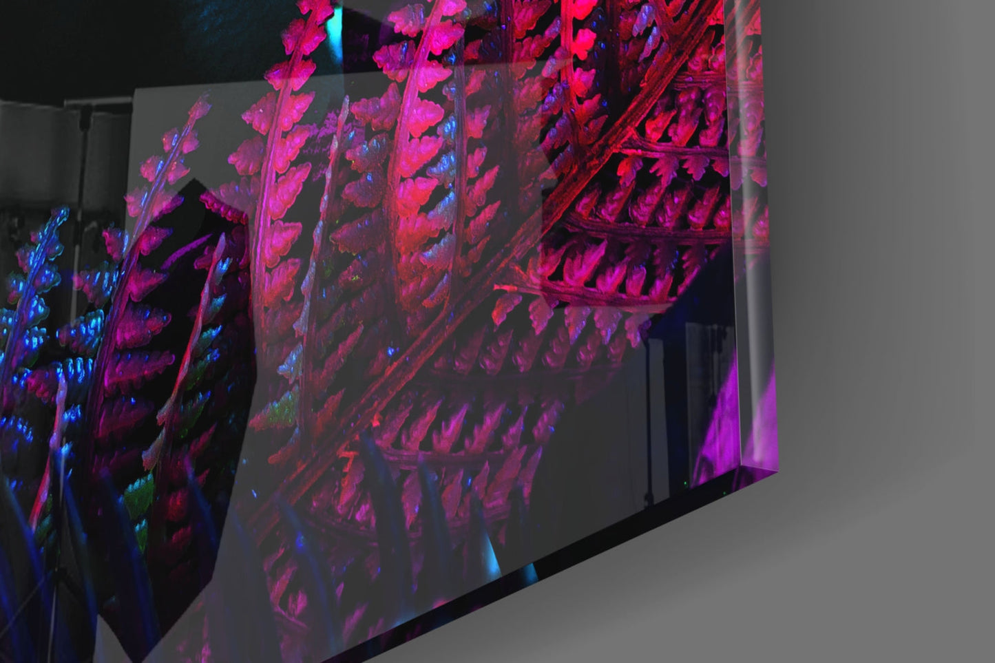 Neon Glances Glass Wall Art