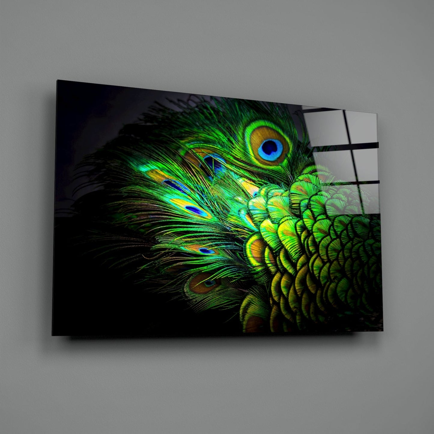 Peacock Portrait Glass Wall Art