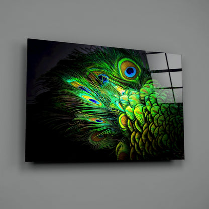 Peacock Portrait Glass Wall Art