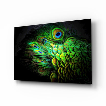 Peacock Portrait Glass Wall Art