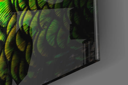 Peacock Portrait Glass Wall Art