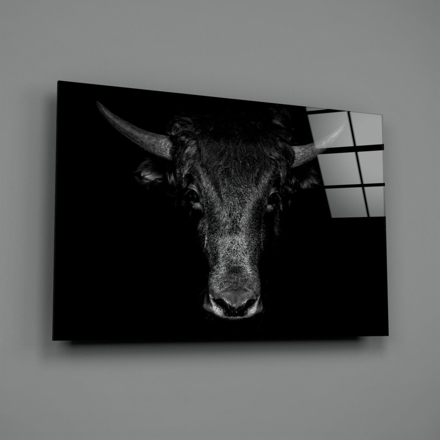 Buffalo Portrait Glass Wall Art