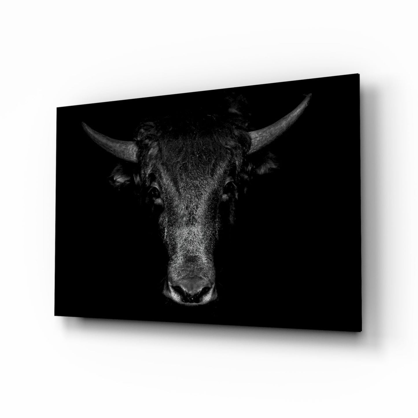 Buffalo Portrait Glass Wall Art