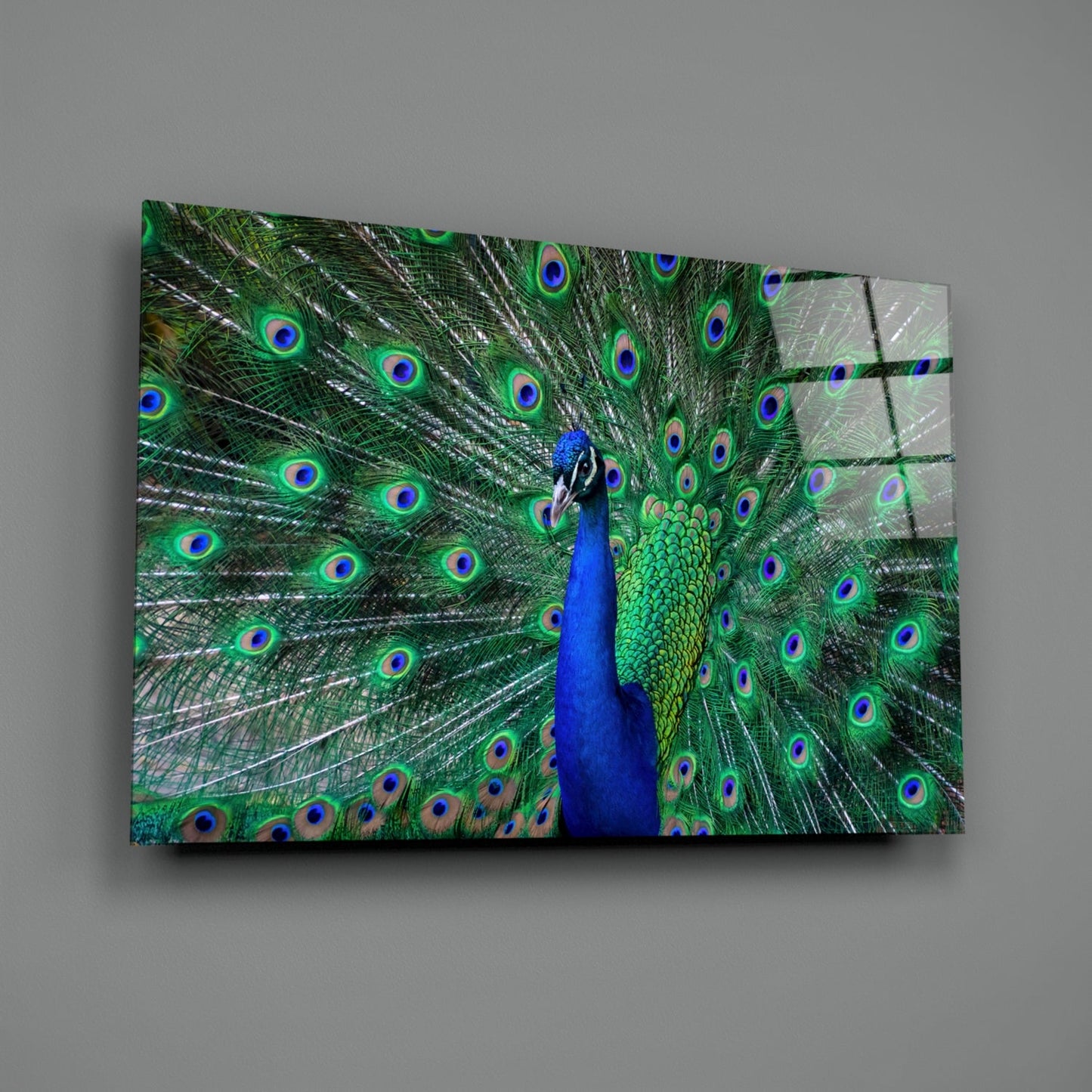 Peacock Glass Wall Art