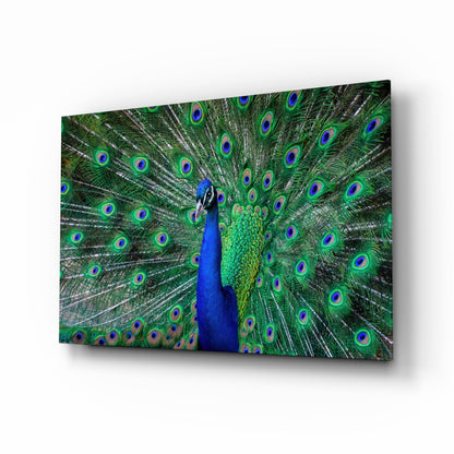 Peacock Glass Wall Art