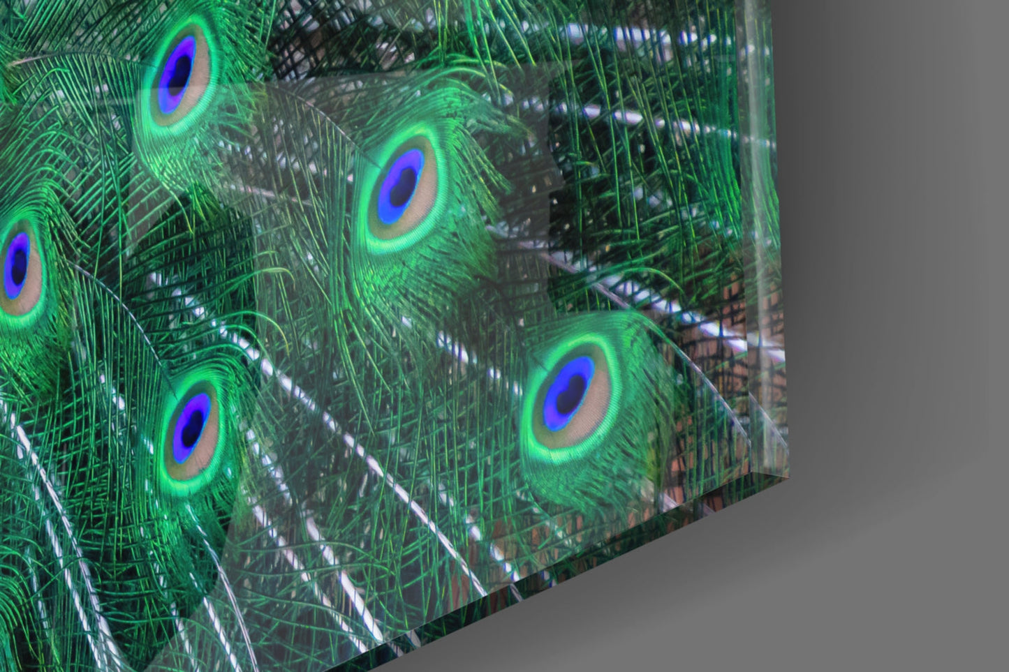 Peacock Glass Wall Art