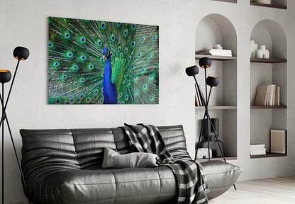 Peacock Glass Wall Art