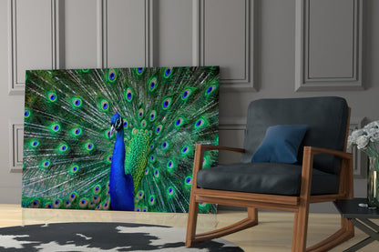 Peacock Glass Wall Art