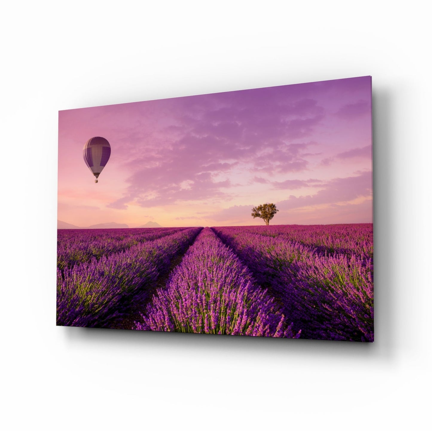 Lavender Fields Glass Wall Art