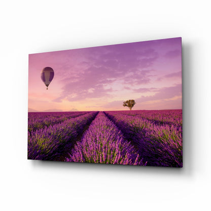 Lavender Fields Glass Wall Art