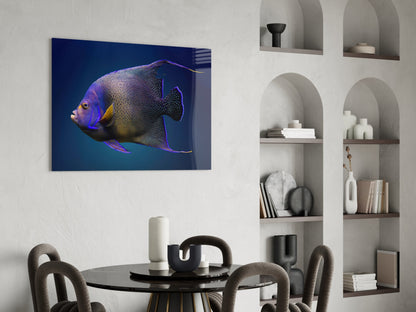 Queen Angelfish Glass Wall Art