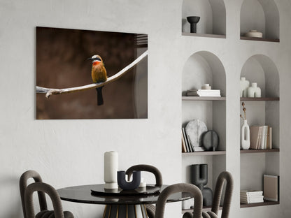Bee Eater Glass Wall Art