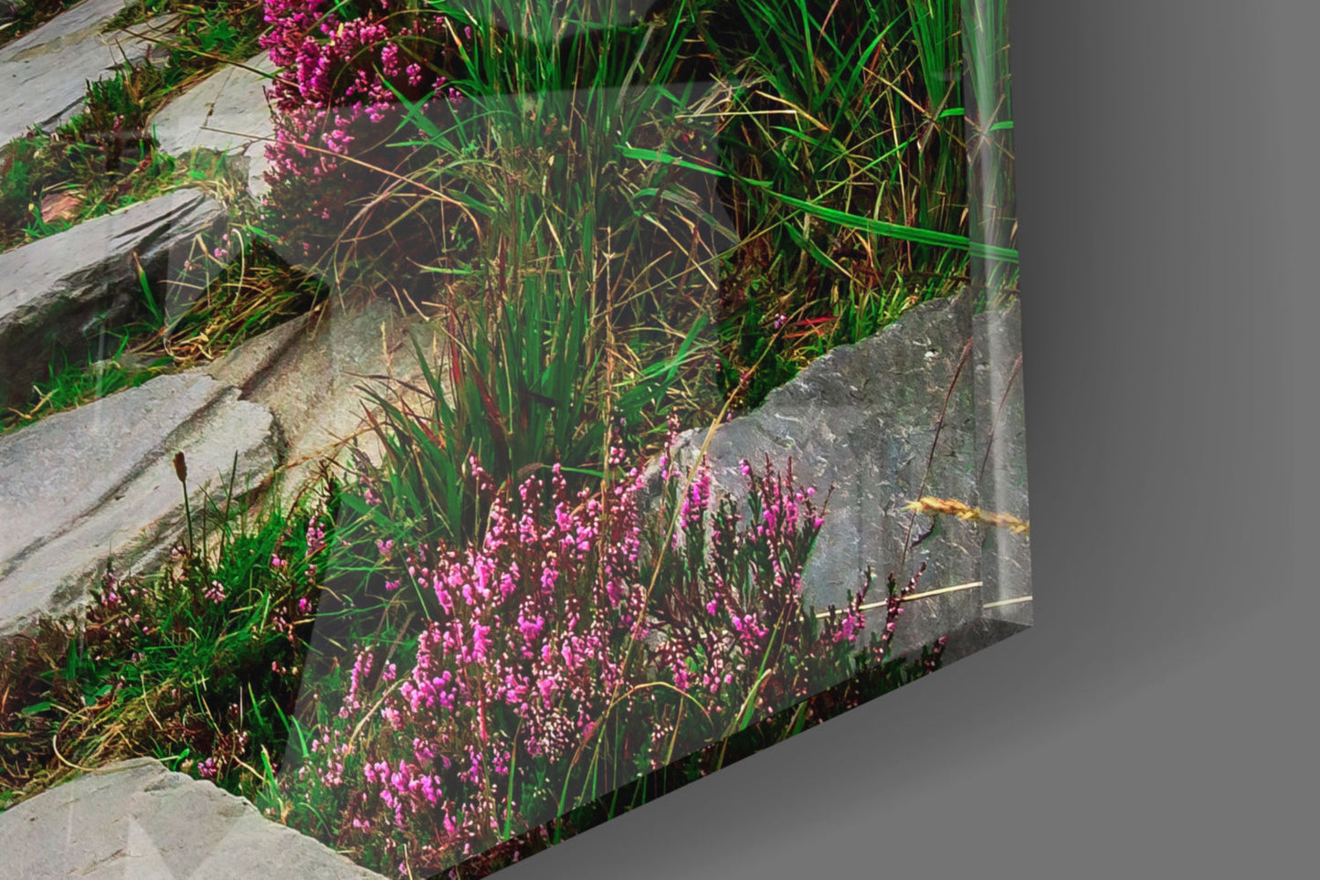Footpath to the Mountains Glass Wall Art, Heather Meadow Landscape