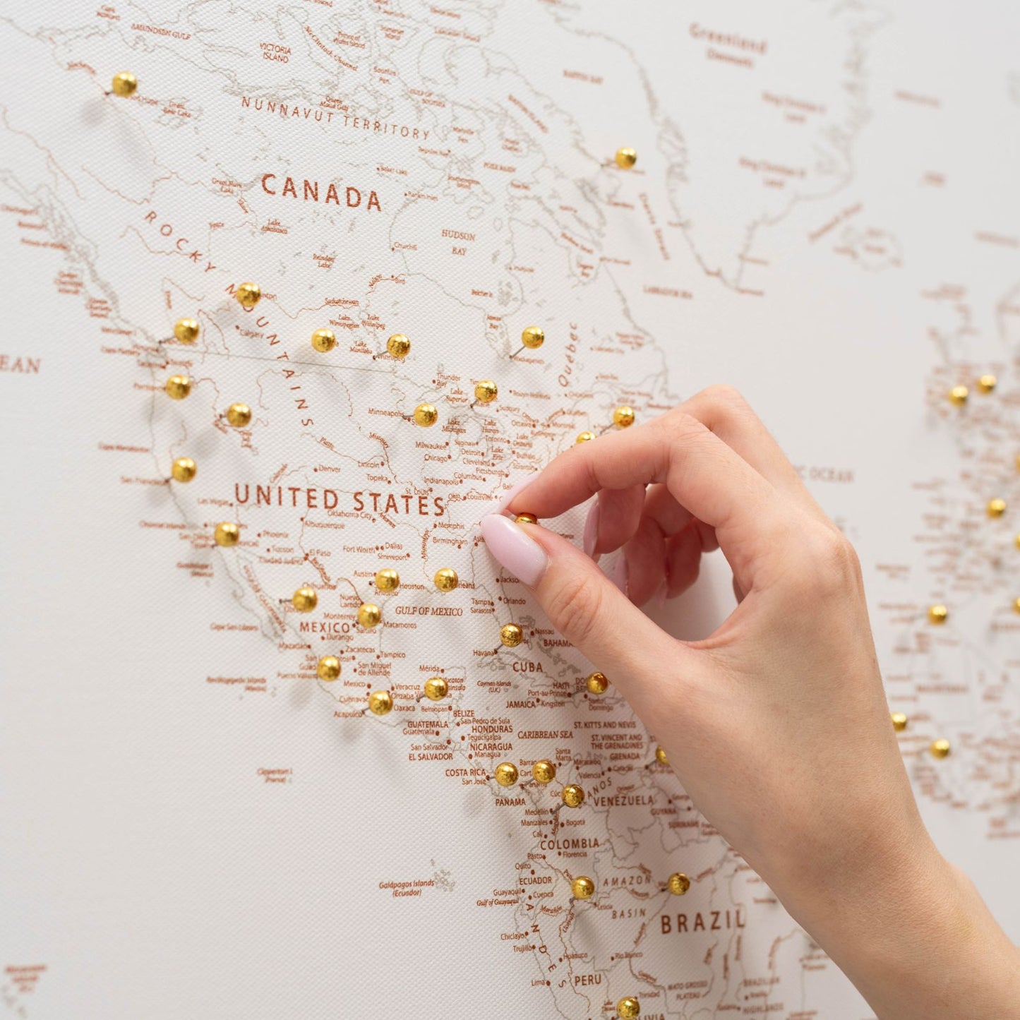 Beige World Map Canvas Wall Art