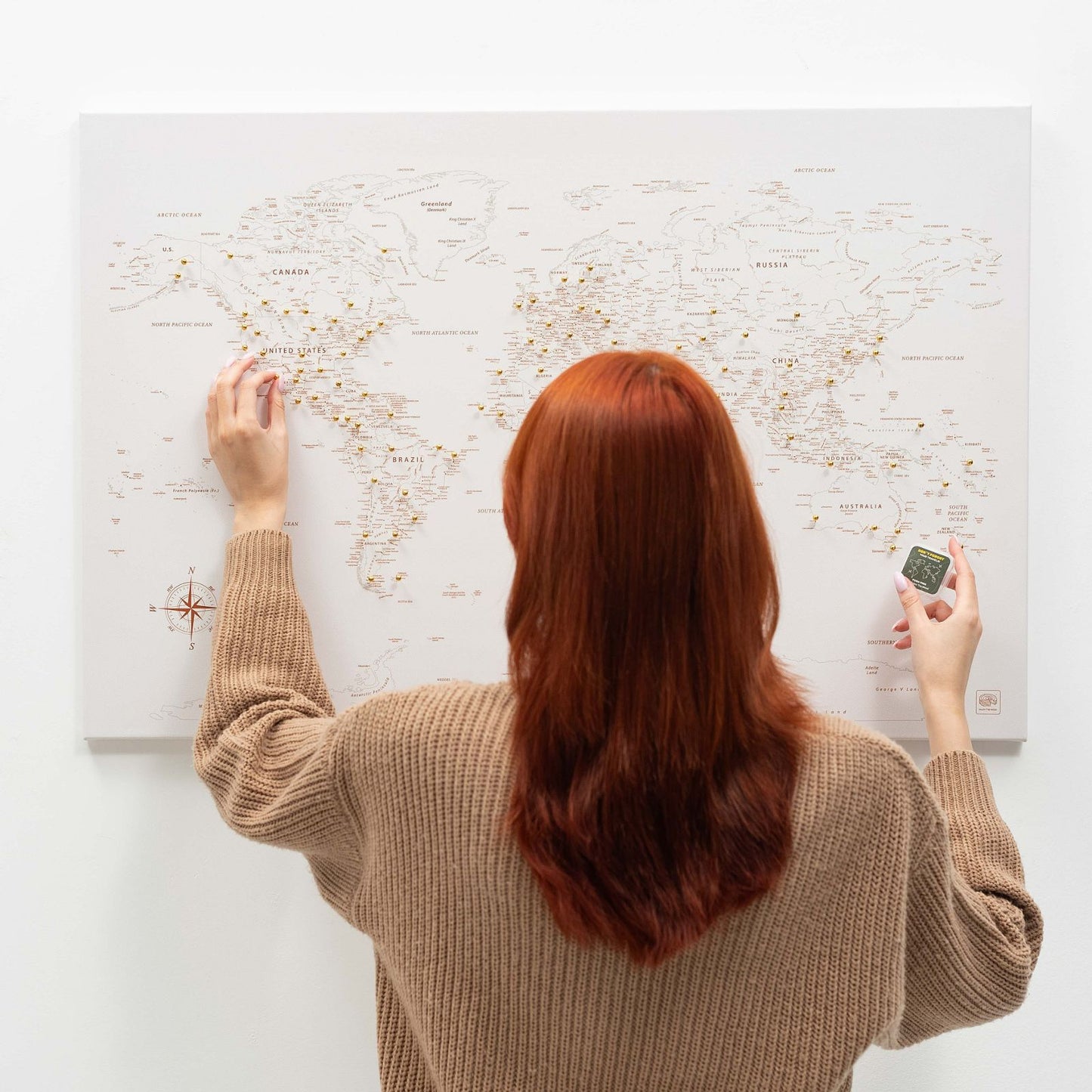 Beige World Map Canvas Wall Art