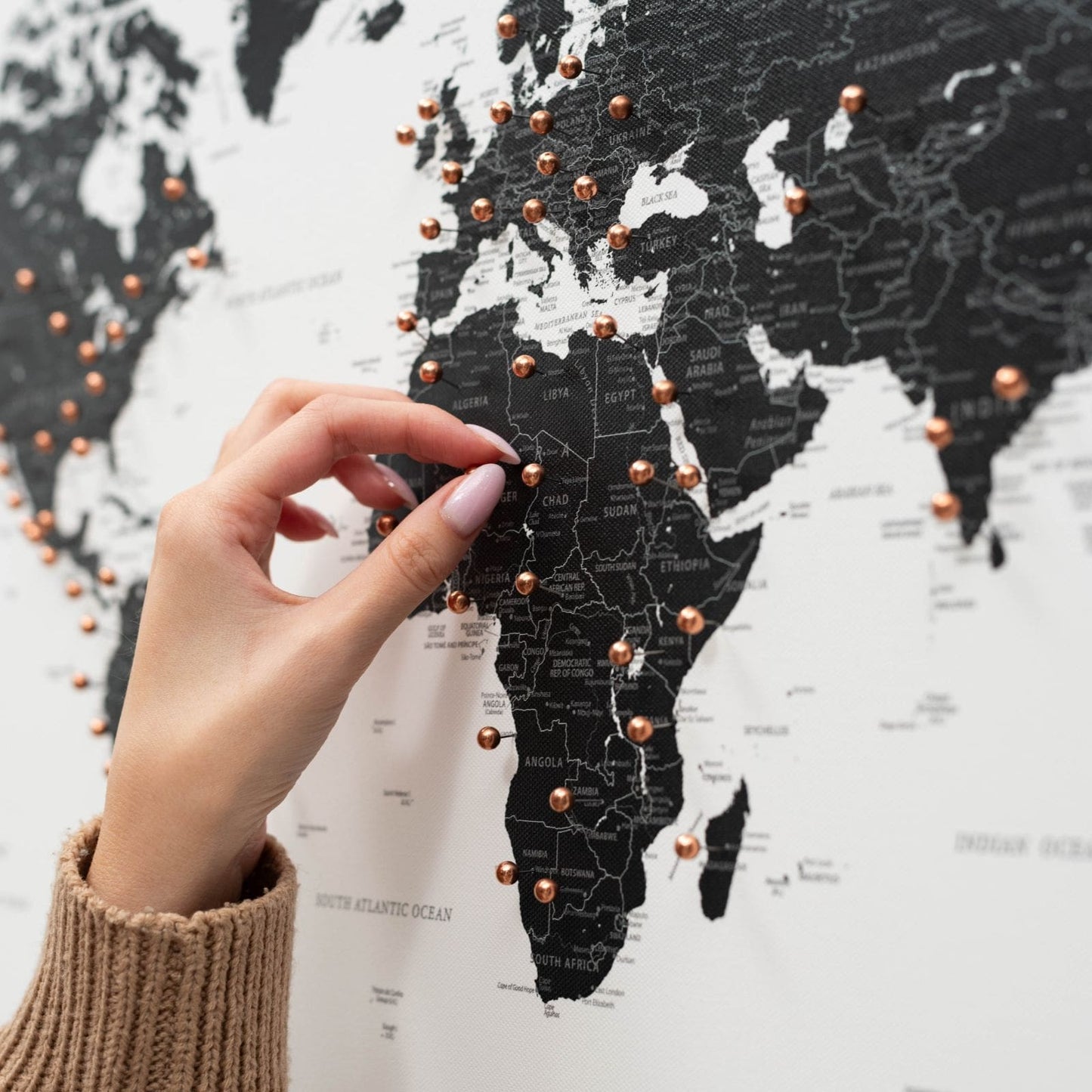 Onyx World Map Canvas Wall Art
