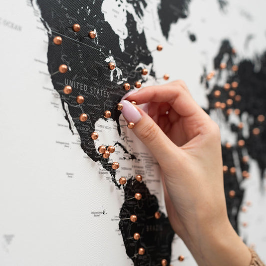 Onyx World Map Canvas Wall Art