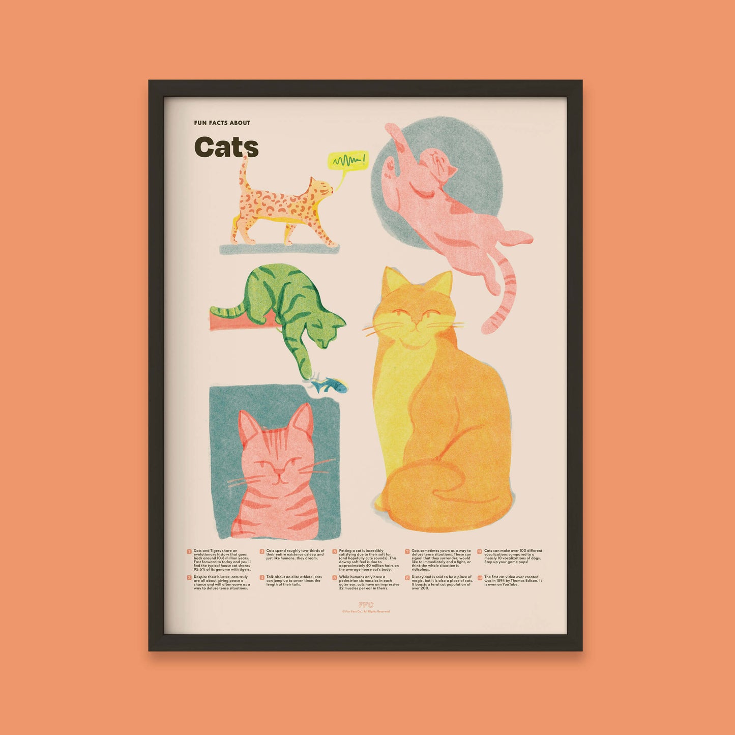 Cat Fun Facts Art Print