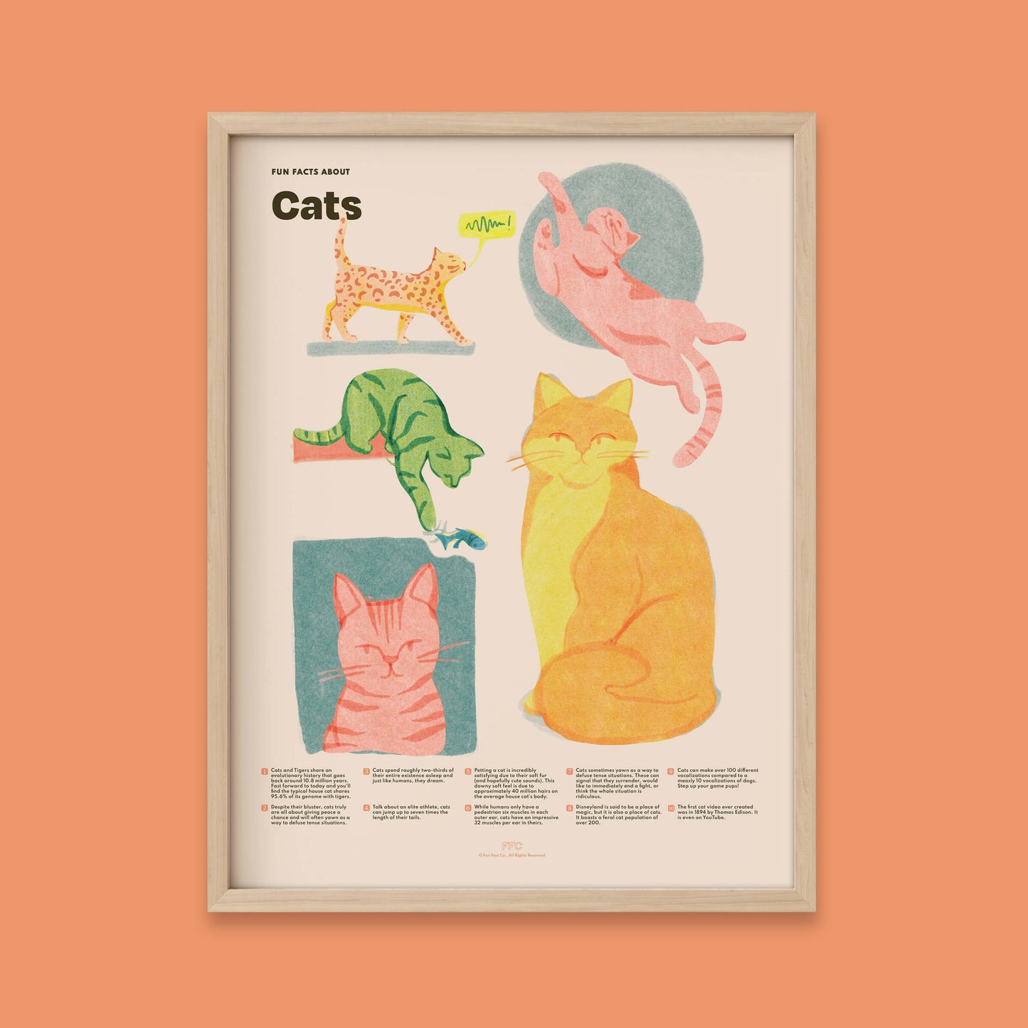 Cat Fun Facts Art Print