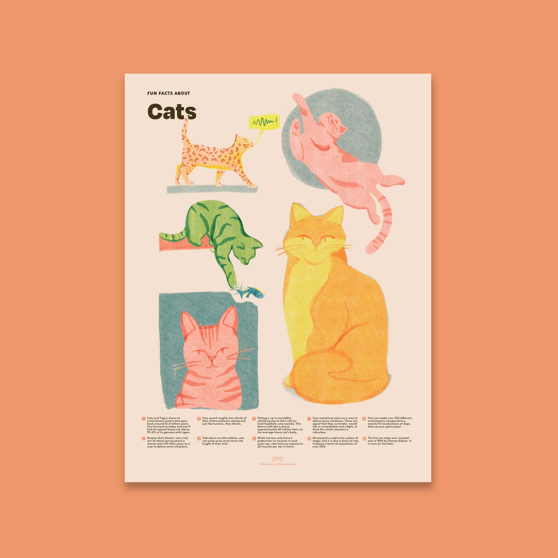 Cat fun facts illustrated art print with feline facts