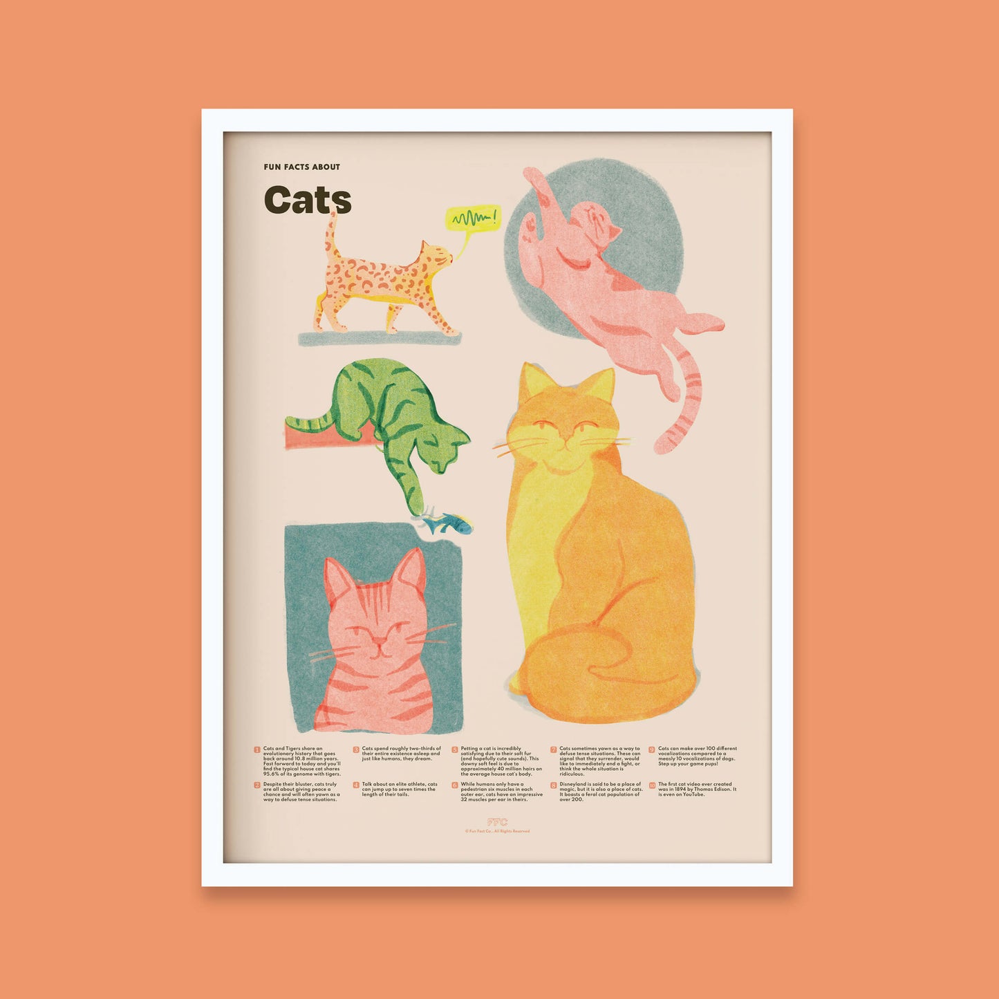 Cat Fun Facts Art Print