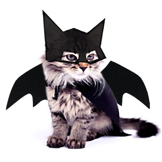 cat wearing bat wings costume and mask