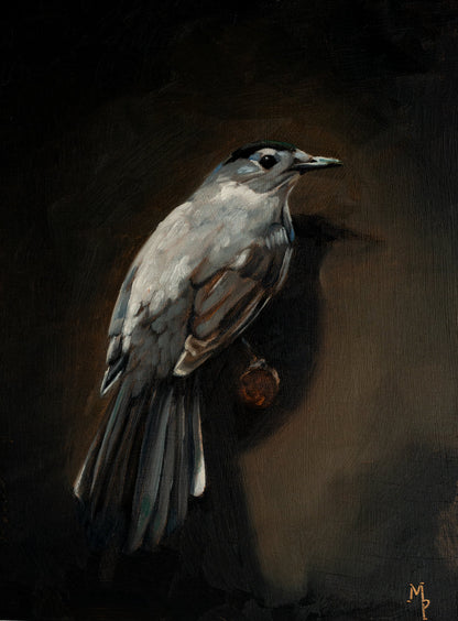 Catbird oil painting giclee art print