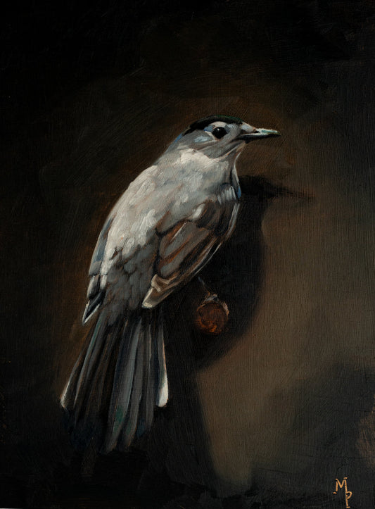 Catbird oil painting giclee art print
