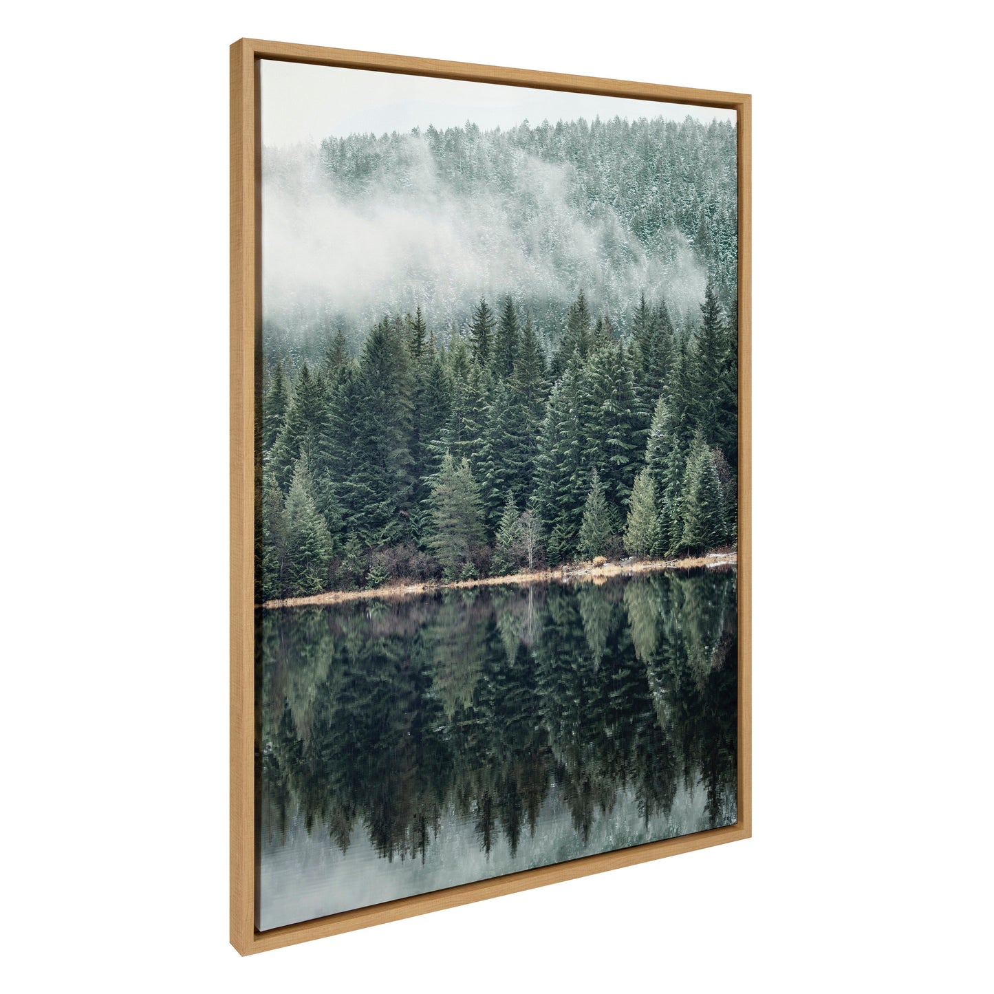 Misty Forest Framed Canvas Wall Art