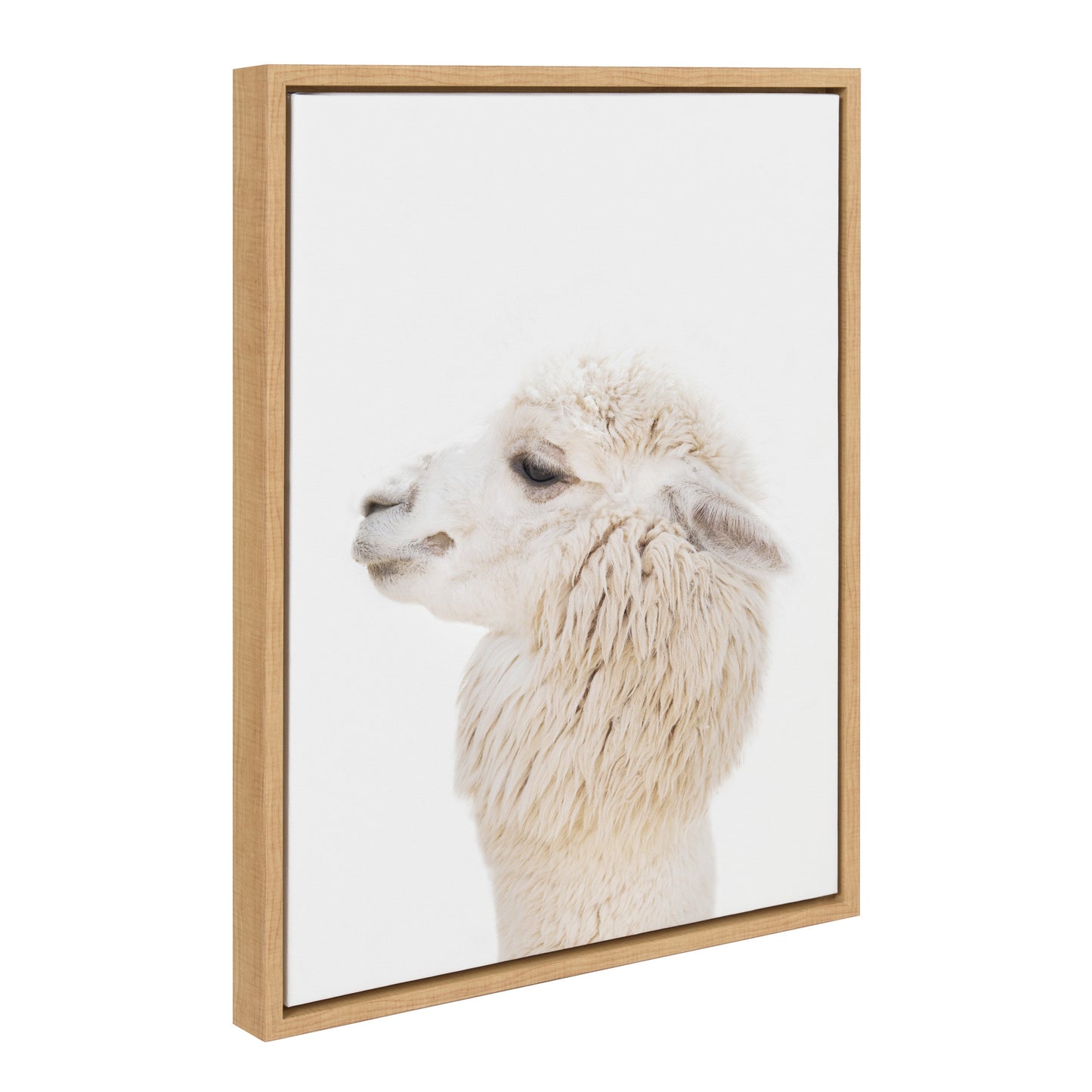 Alpaca Profile Framed Canvas Wall Art, Boho Farmhouse Decor