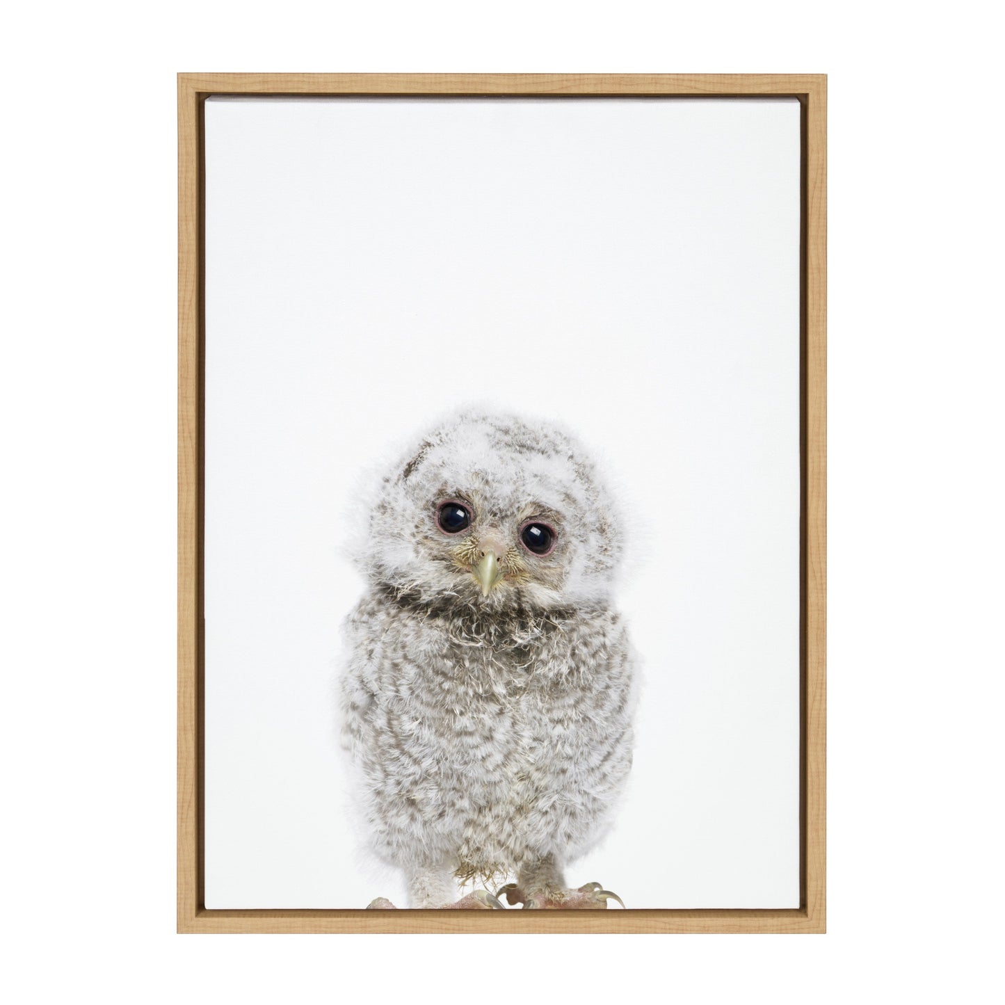 Owl Portrait Framed Canvas Wall Art, Woodland Nursery Decor