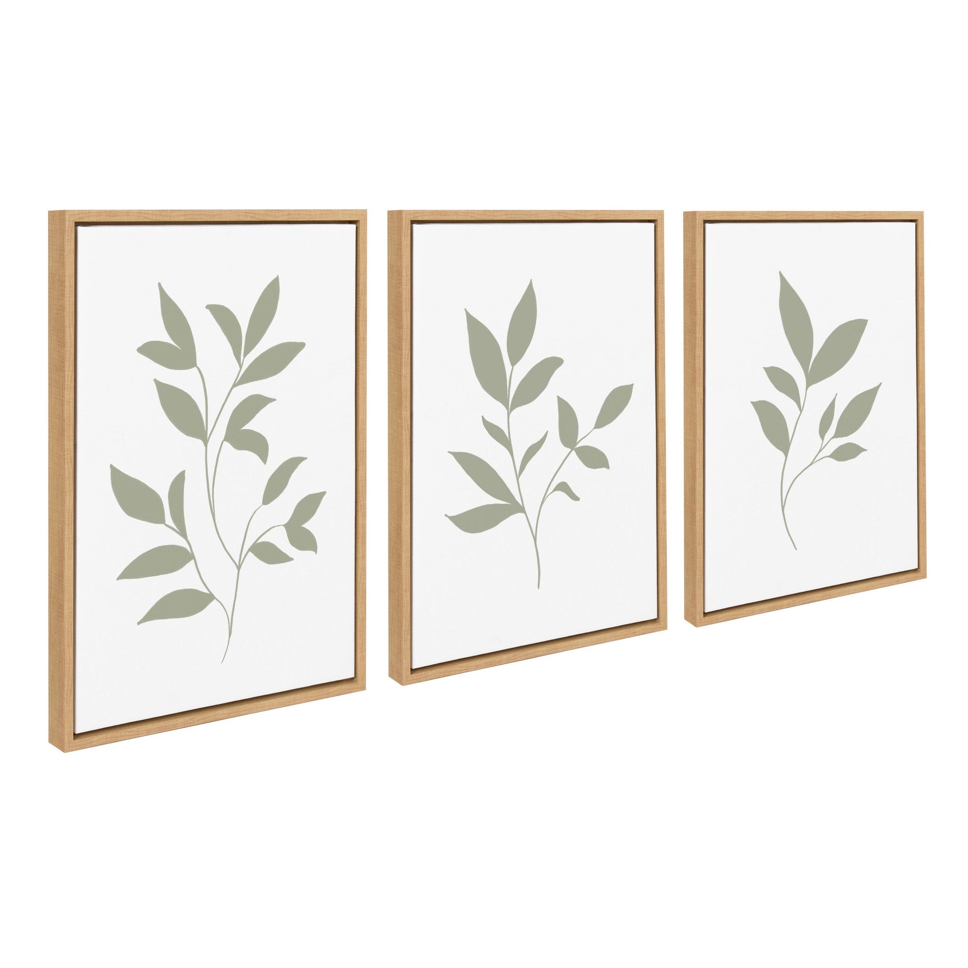 Set of three sage green botanical leaf prints in frames