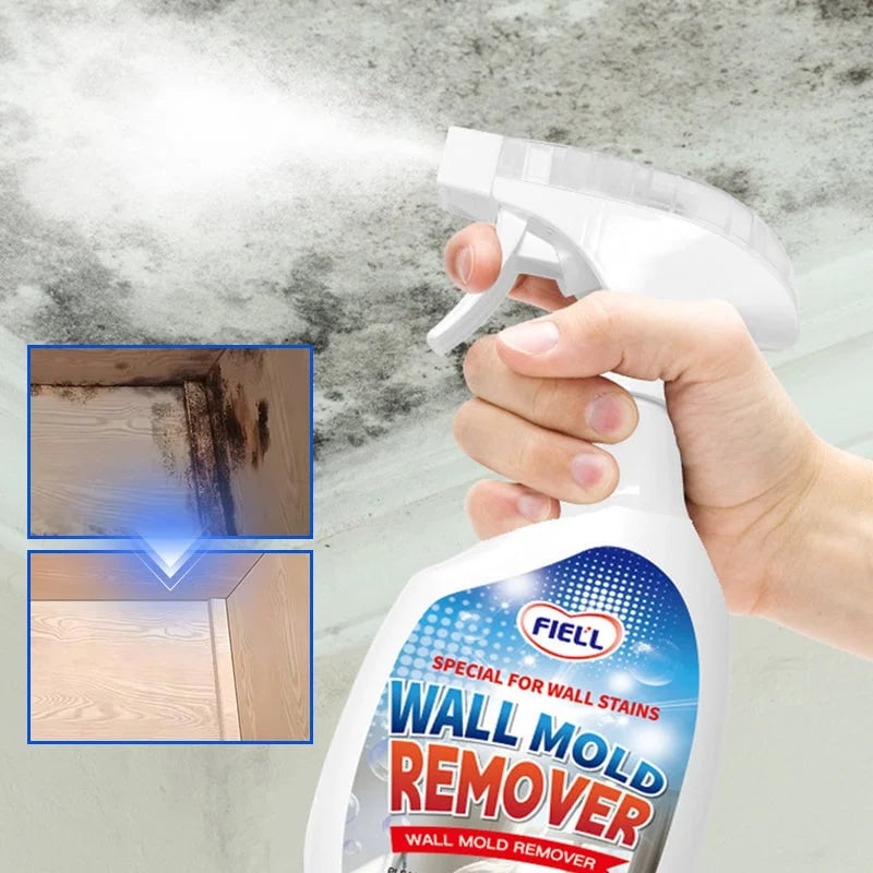 cleaning heavy mold patches with wall mold remover spray showing before and after