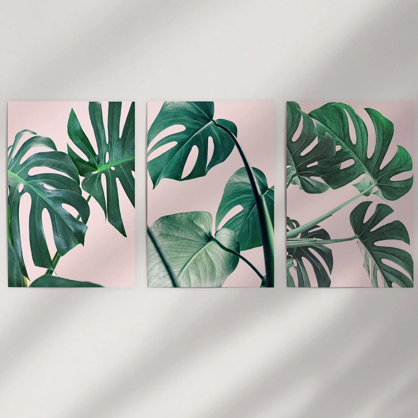 Pink Botanical Wall Art Set of 3 Green Monstera Prints