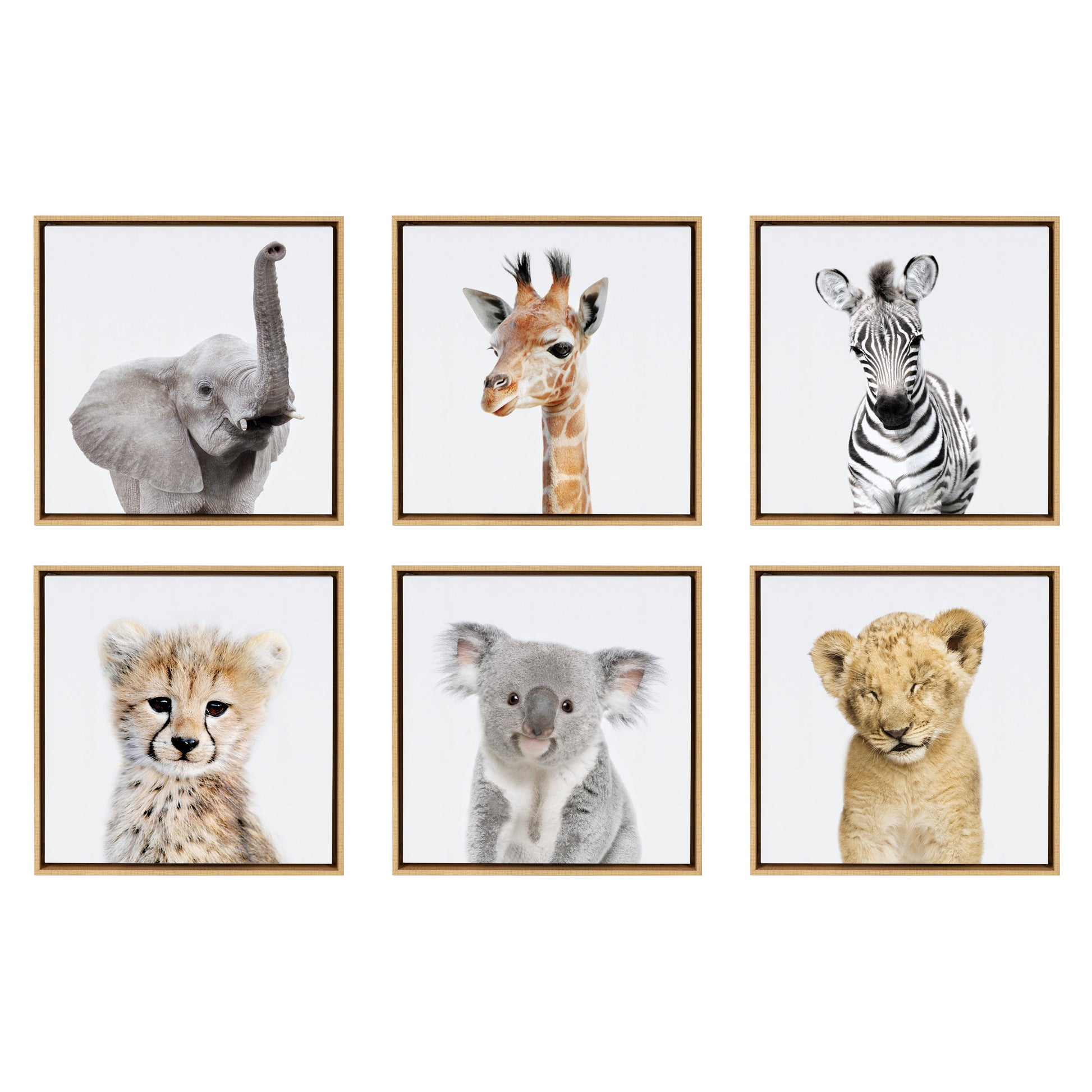 Safari animals framed canvas wall art collection of friendly jungle animals