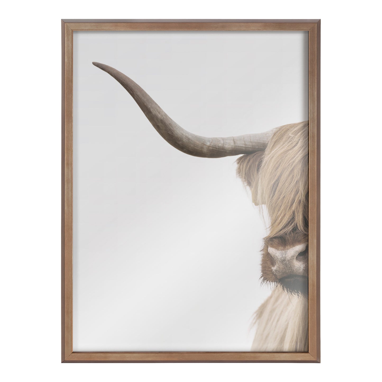 Highland Cow Portrait Framed Glass Wall Art