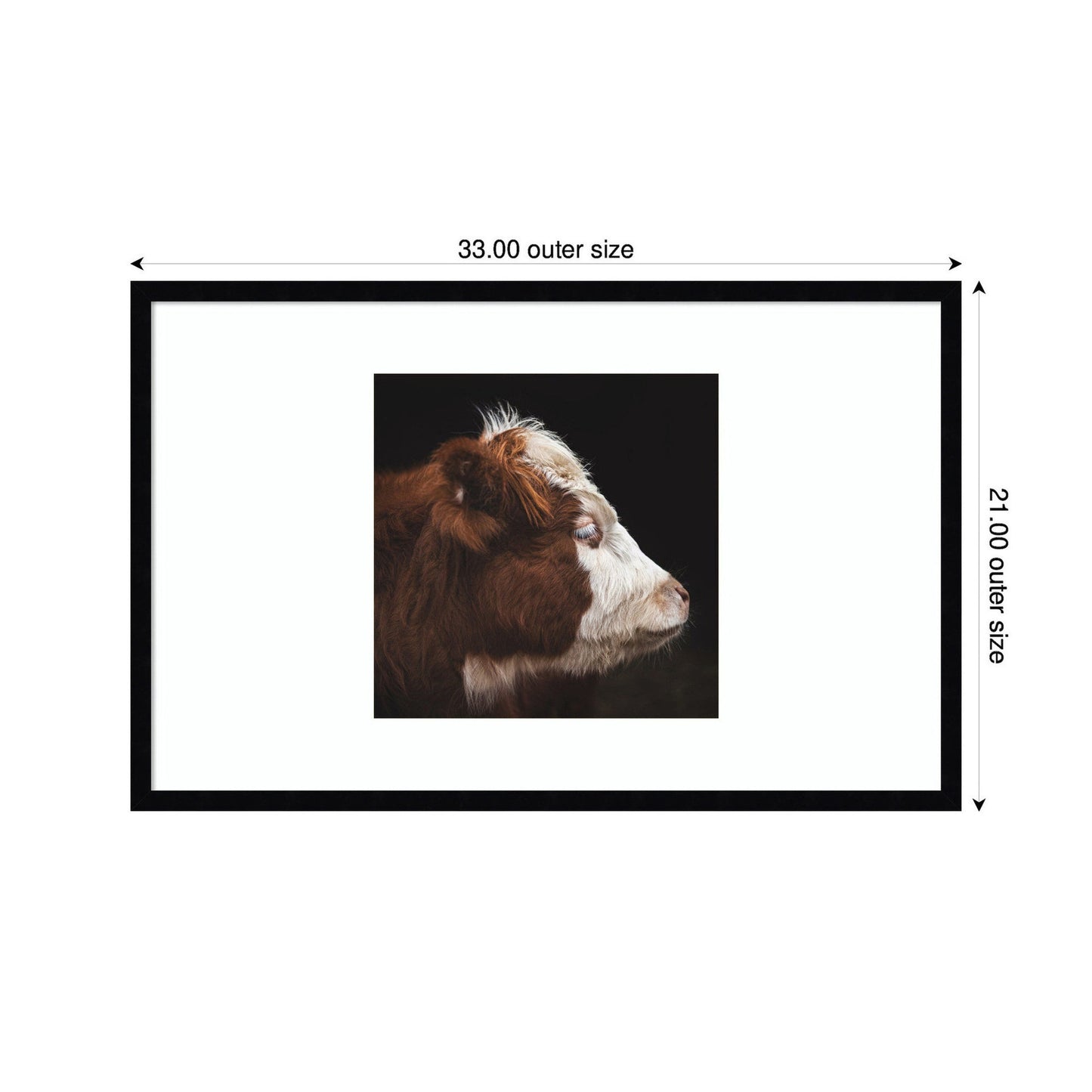 Cow Profile by Emiko and Mark Franzen F2 Images Framed Wall Art Print