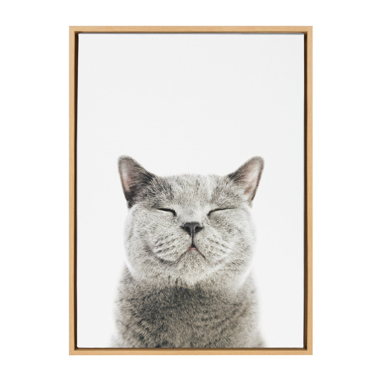 Smiling Cat Framed Canvas Wall Art