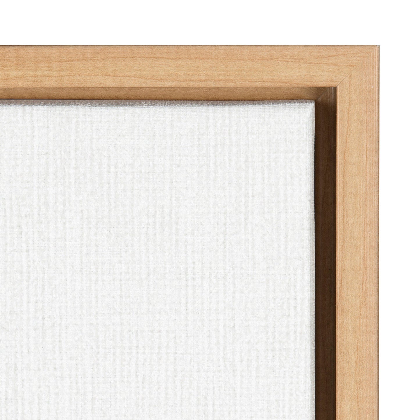 Elephant Front and Back Framed Canvas Art Set