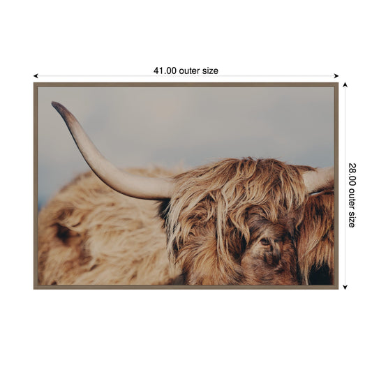 Highland Cow Close-Up Framed Canvas Wall Art