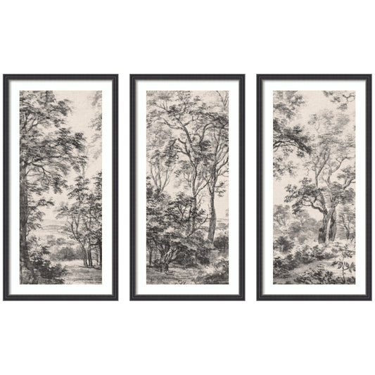 Wooded landscape split across three panels with tall trees and soft light