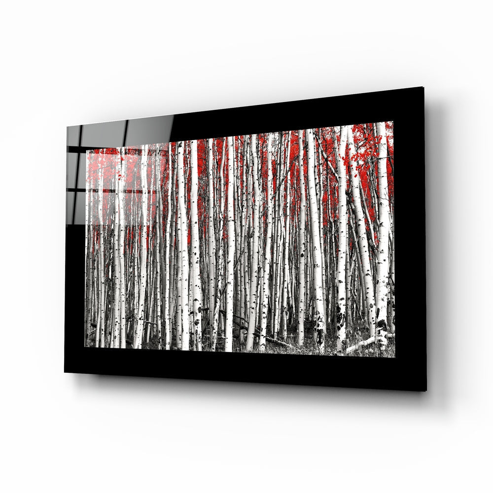 Black border birch grove red canopy glass wall art