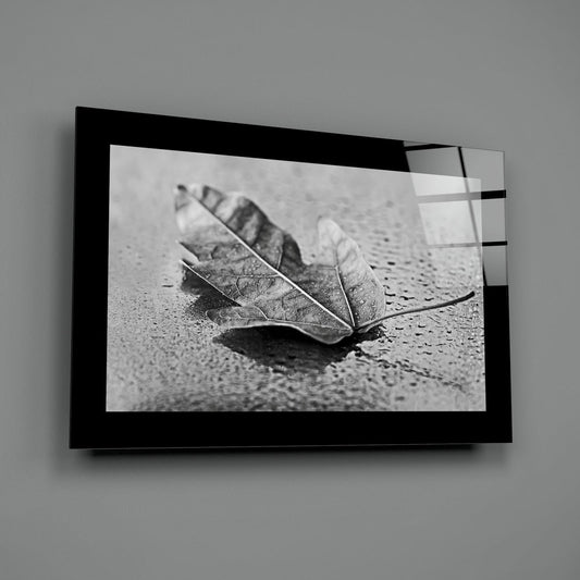 Raindrop leaf glass wall art on a plain gray wall