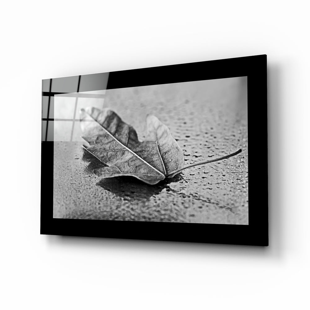 Raindrop fallen leaf glass wall art