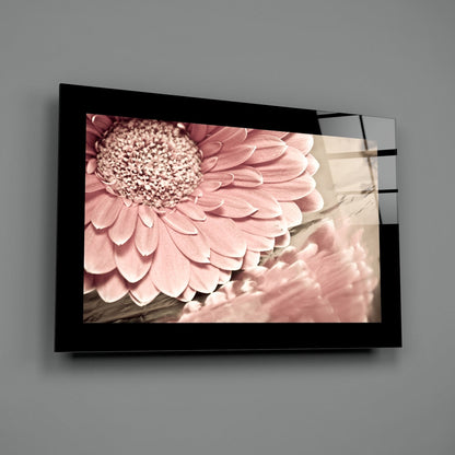 Dusty Rose Daisy Glass Wall Art