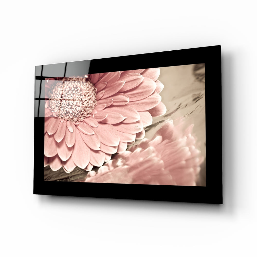 Dusty rose daisy glass wall art