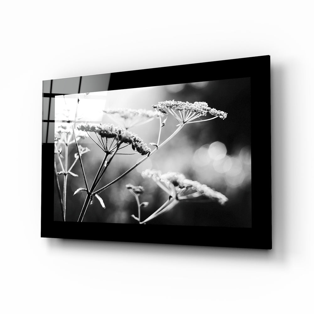 Bloom wildflower macro glass wall art